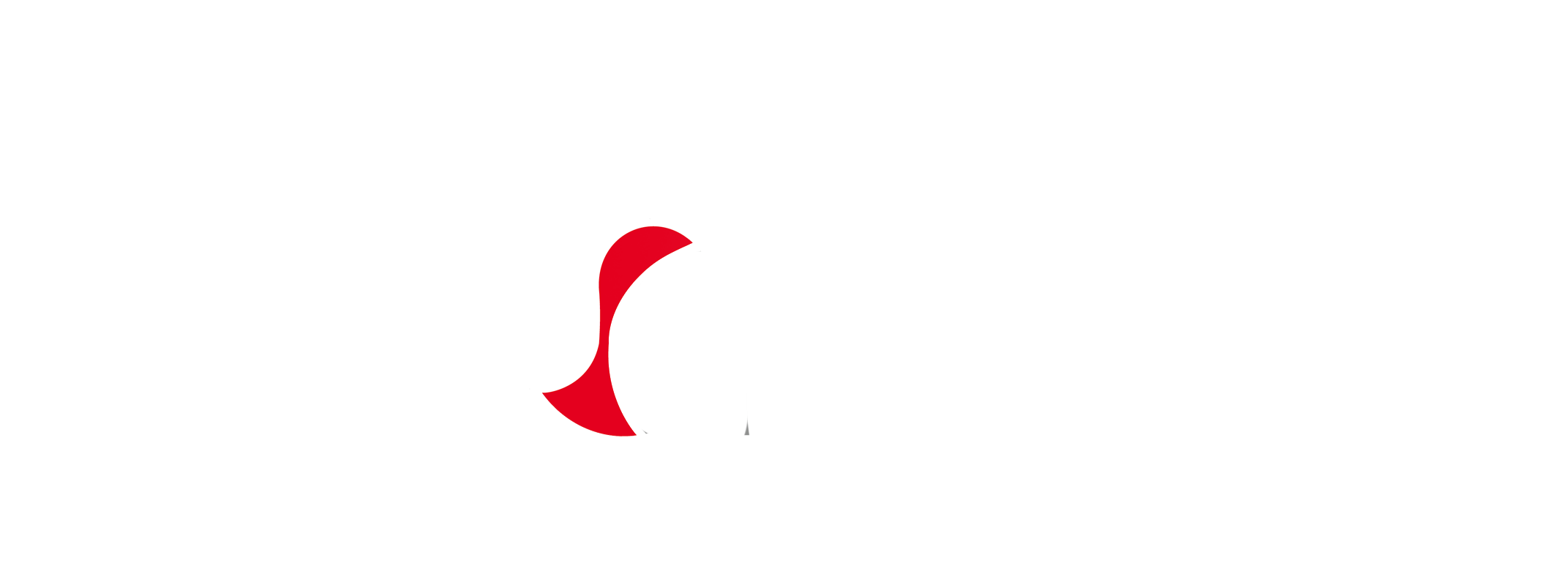 Silicon Comnet 
